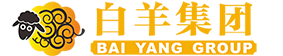 廣西白羊網(wǎng)絡(luò)科技有限公司配套案例